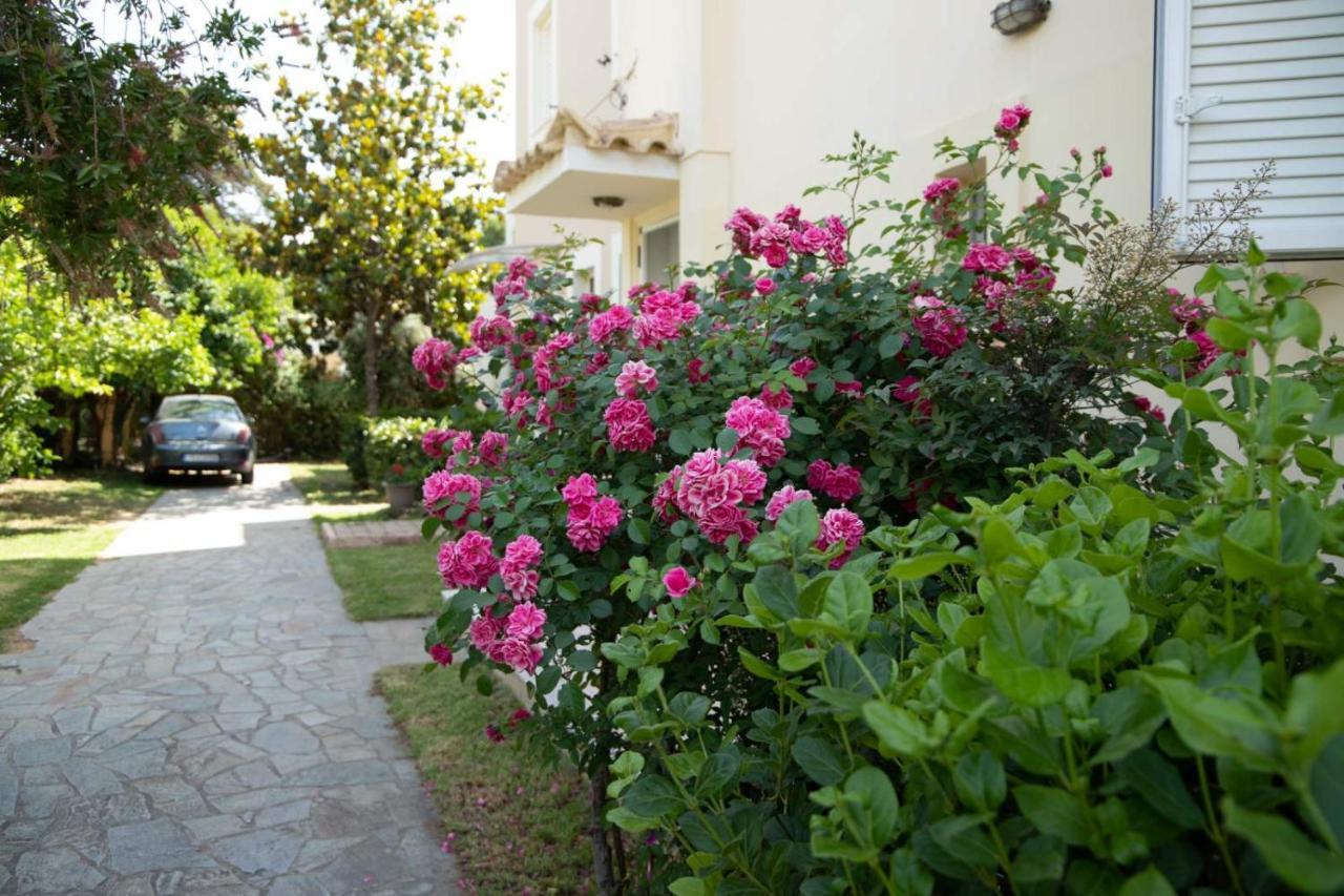 Palaiohora Avias Apartments Buitenkant foto